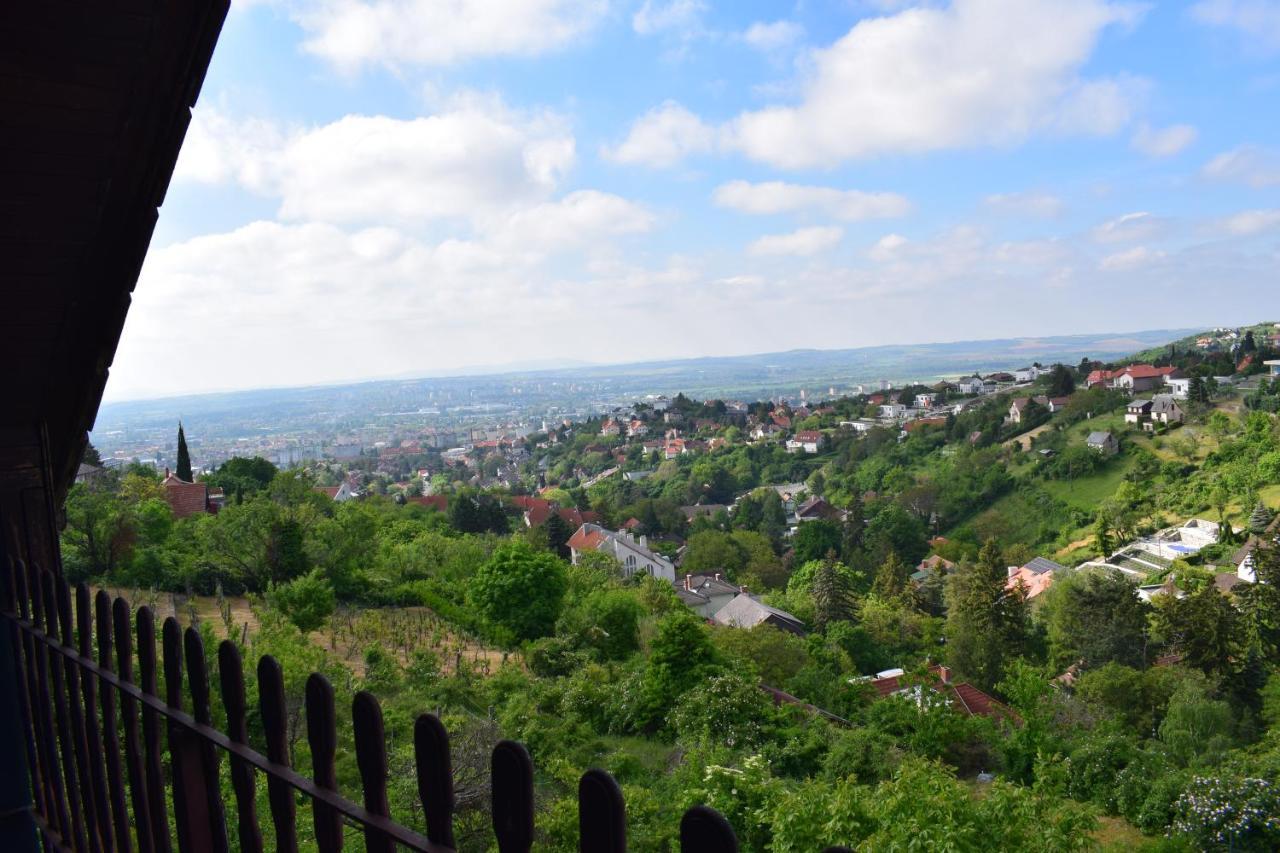 Panorama Kucko Daire Peçuy Dış mekan fotoğraf